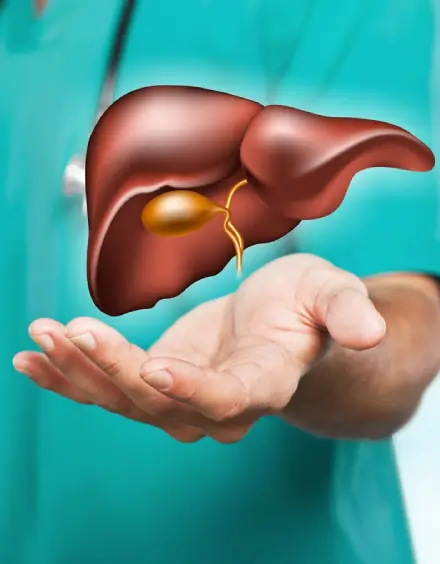 Liver Disease & Alcohol Recovery in New Panvel | Dr. Anuja